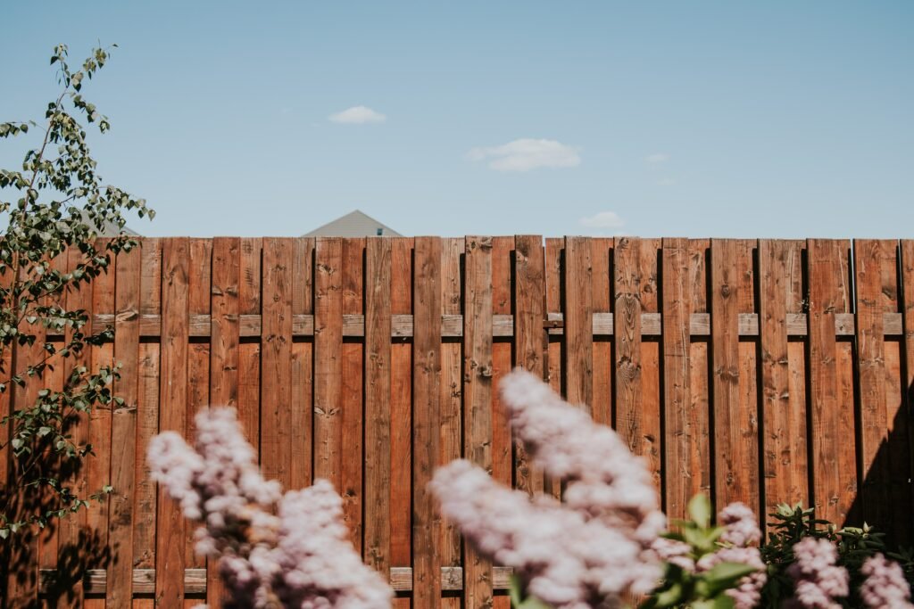 Wood privacy fence with medium oak stain along a backyard